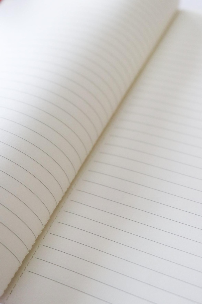 ChasingPaperCollectionNotebooksRed5.jpg