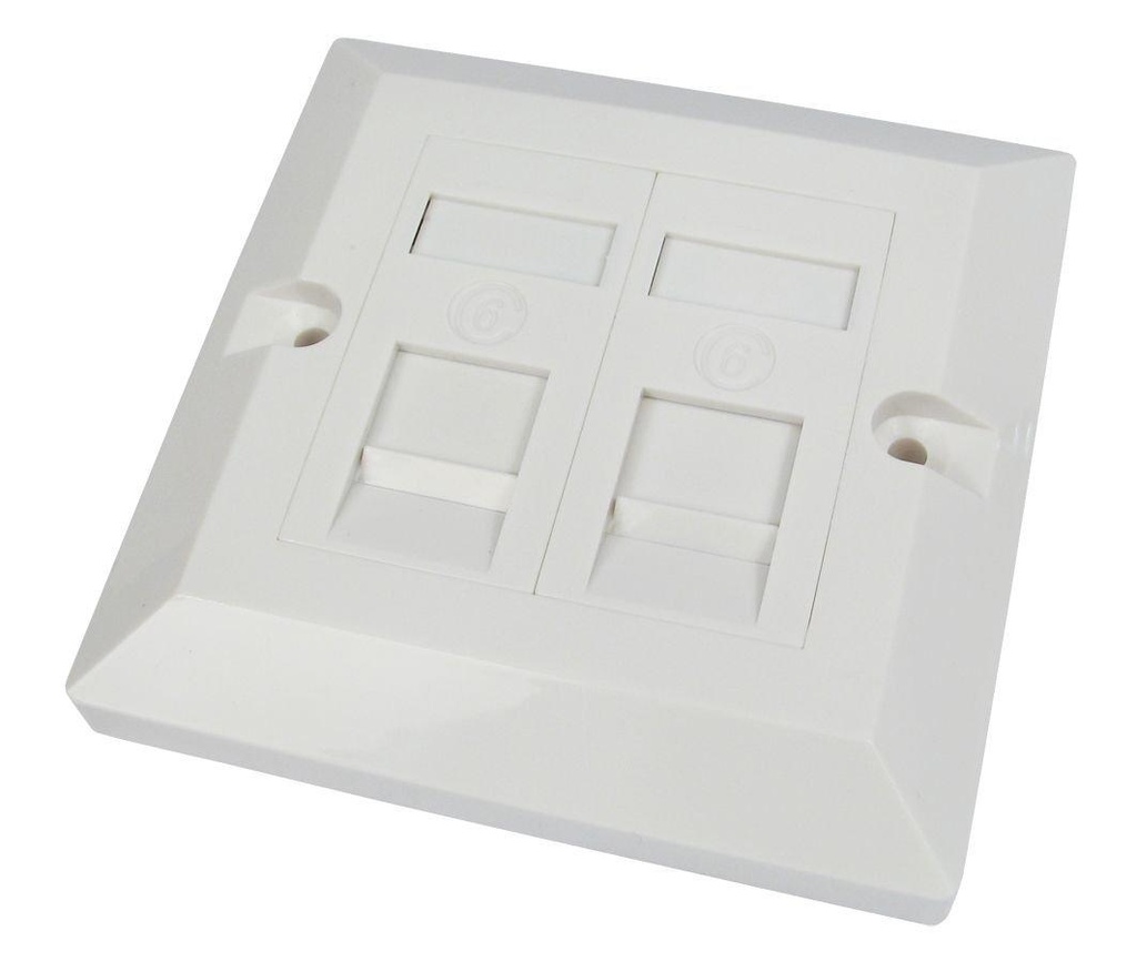 Cat 6 EaseNet Double Face Plates + Modules